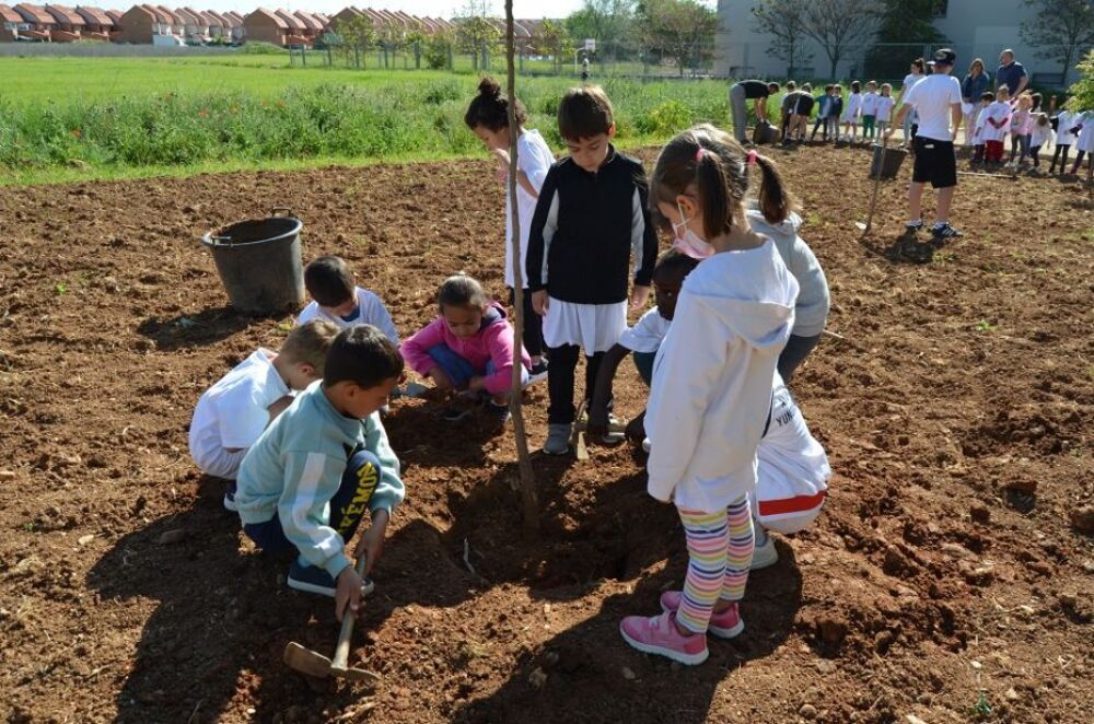 Los niños de Yunquera plantan árboles y flores frente a su colegio |  Noticias La Tribuna de Guadalajara