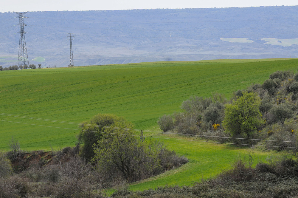 La imagen actual del campo no tiene nada que ver con la que tenía hace apenas unos meses