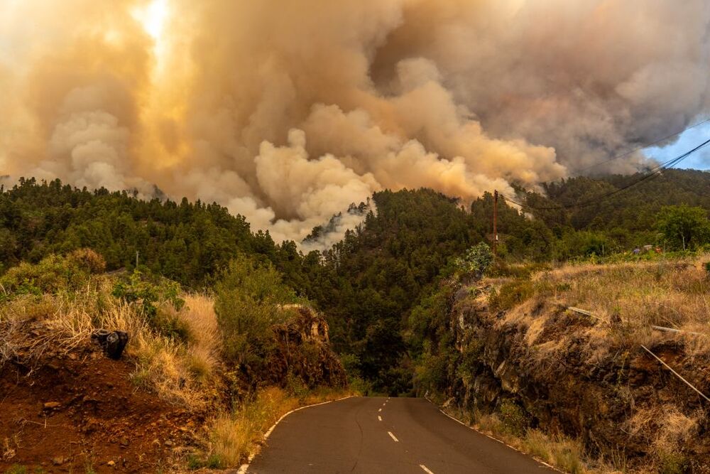 El  incendio forestal en La Palma pasa a nivel 2   / EUROPA PRESS