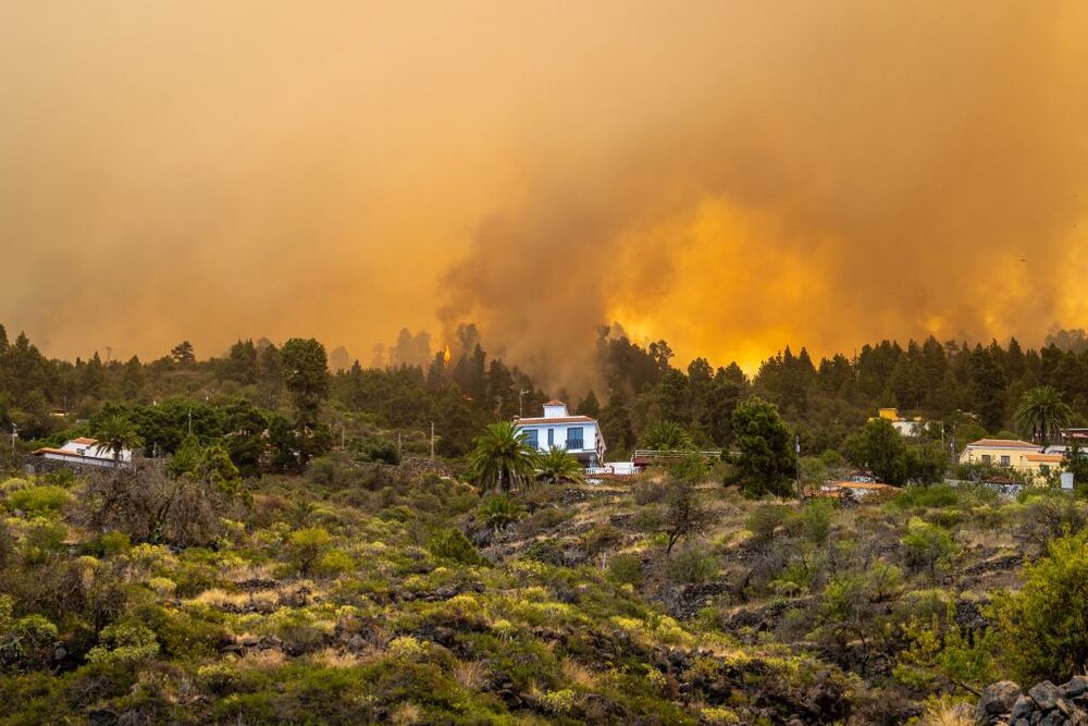 LLamas cerca de una vivienda en el incendio forestal declarado en  la Palma, a 15 de julio de 2023, en Puntagorda, La Palma, Canarias (España).  / EUROPA PRESS