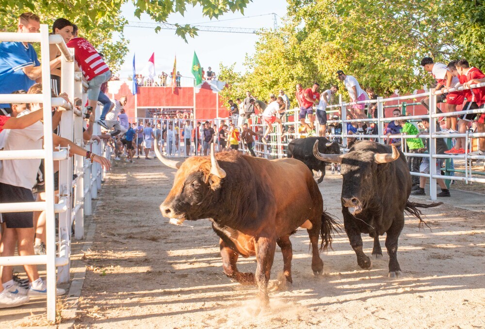 Marchamalo en fiestas 