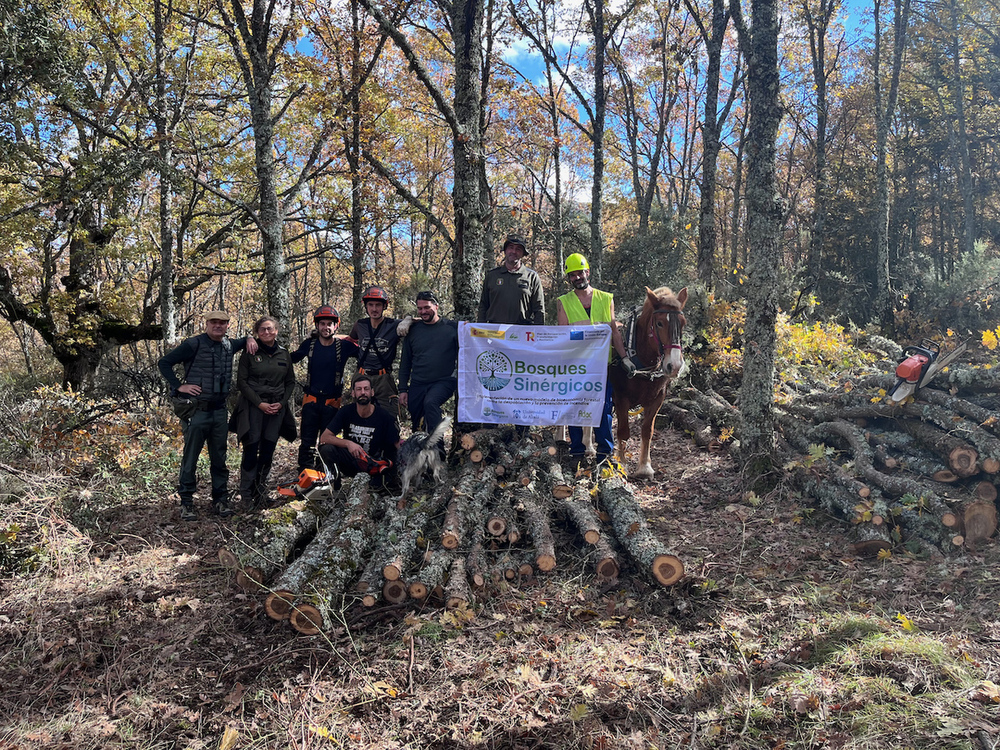 Este proyecto piloto busca una nueva forma de gestión de los bosques en la Sierra norte de Guadalajara.