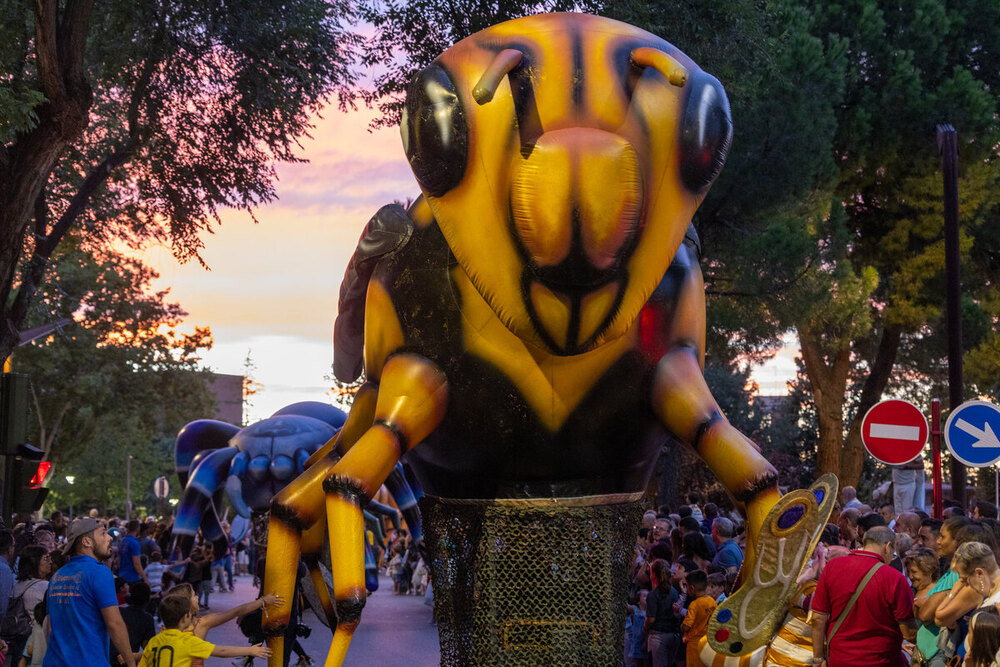 Varias imágenes del desfile de carrozas y comparsas inaugural de las Ferias y Fiestas 2024.