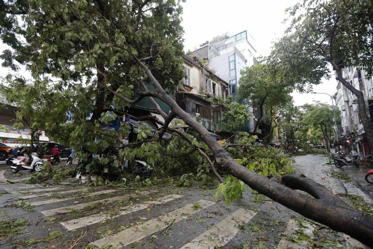 Four dead and dozens injured after typhoon Yagi makes landfall in Vietnam  / LUONG THAI LINH