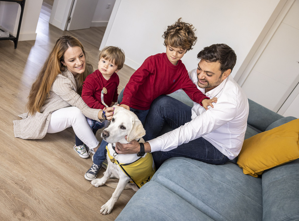 La ONCE busca familias para educar a futuros perros guía