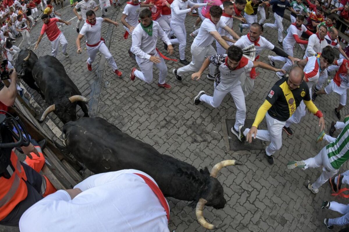 Los veloces y peligrosos Jandilla, este viernes en el sexto encierro de los Sanfermines  / DANIEL FERNÁNDEZ PÉREZ