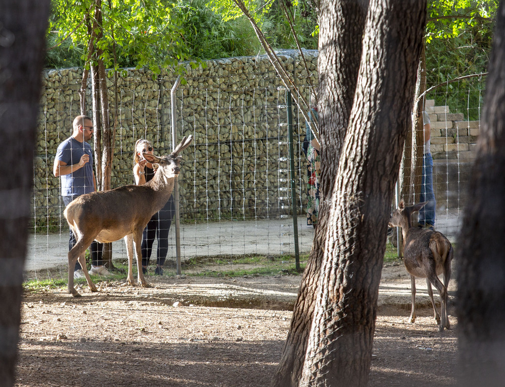 El parque zoológico de Guadalajara es, hoy por hoy, la instalación municipal más visitada de la capital 