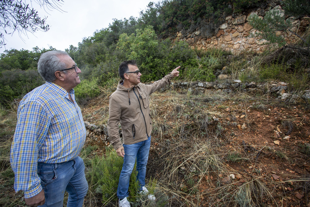 Alejandro Mayor y el alcalde de Renera, Luis Pérez, en uno de los colmenares. 