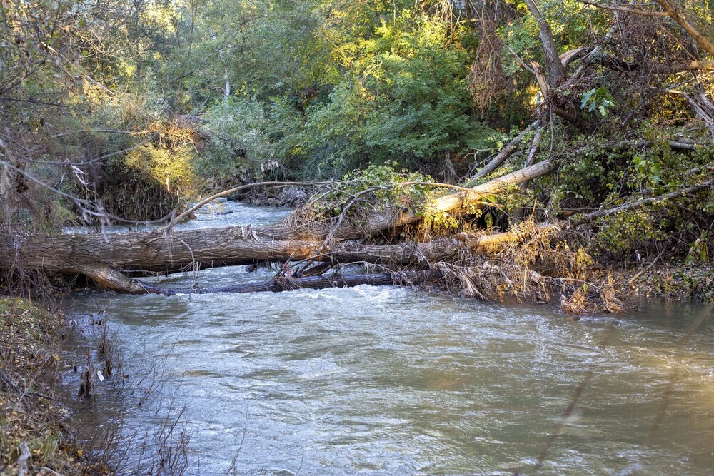 La crecida del río Henares, como en el momento de desembalse de agua de Beleña, ocasiona la inundación de los paseos y miradores de su ribera. 