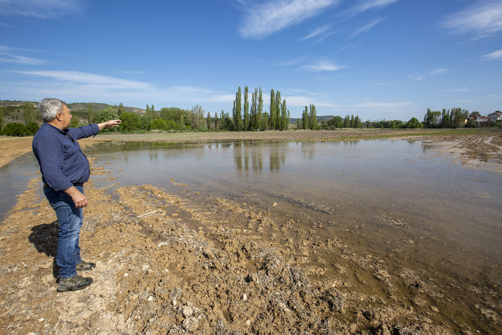 Parcelas agrícolas inundadas en la localidad de Armuña de Tajuña por el desbordamiento del curso de un río cercano y fotografía de la reunión de representantes de APAG con la subdelegada.