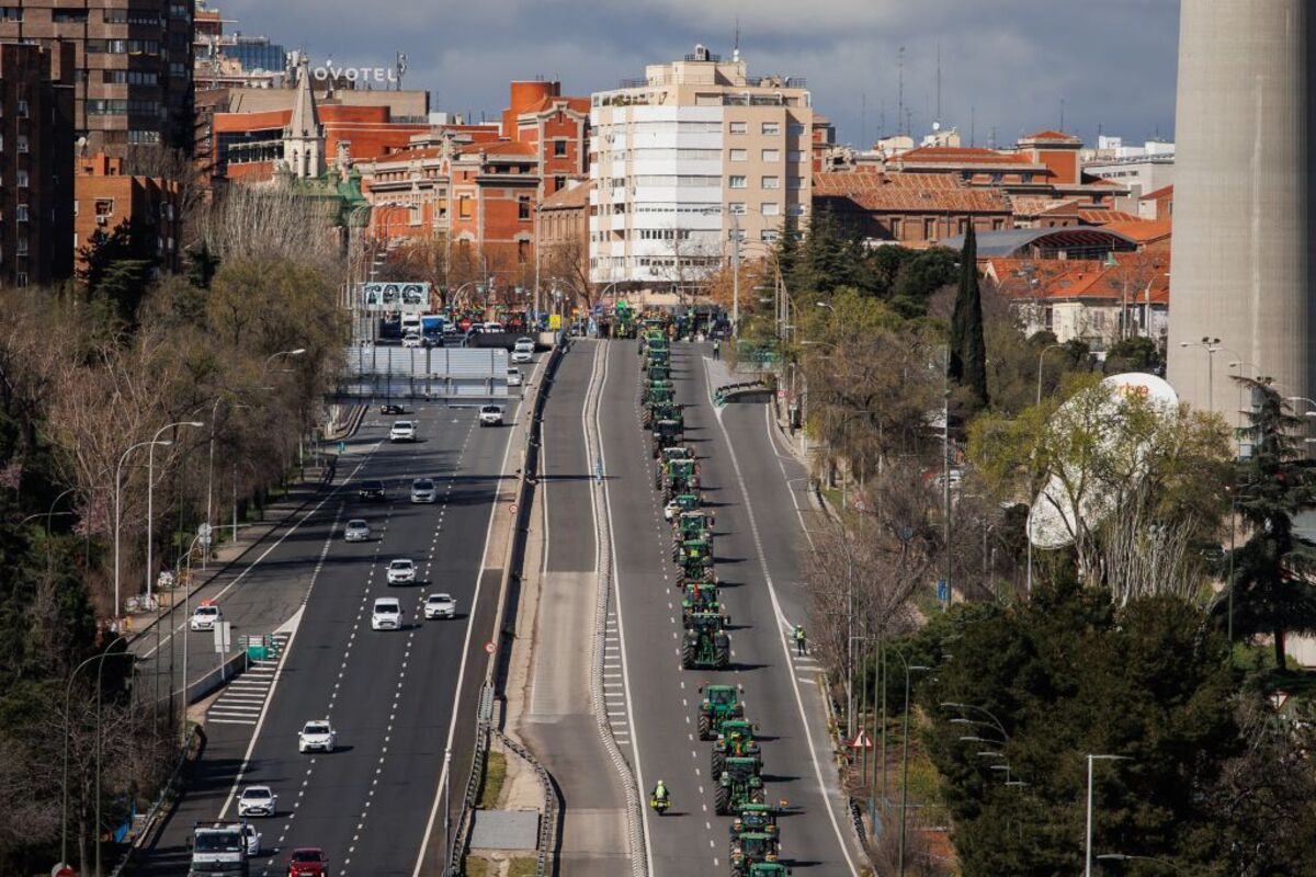 Los agricultores vuelven a Madrid para exigir mejoras en el campo   / ALEJANDRO MARTÍNEZ VÉLEZ