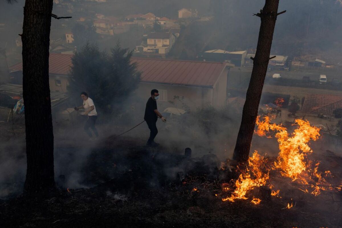 Forest fire in Portugal  / JOSE COELHO