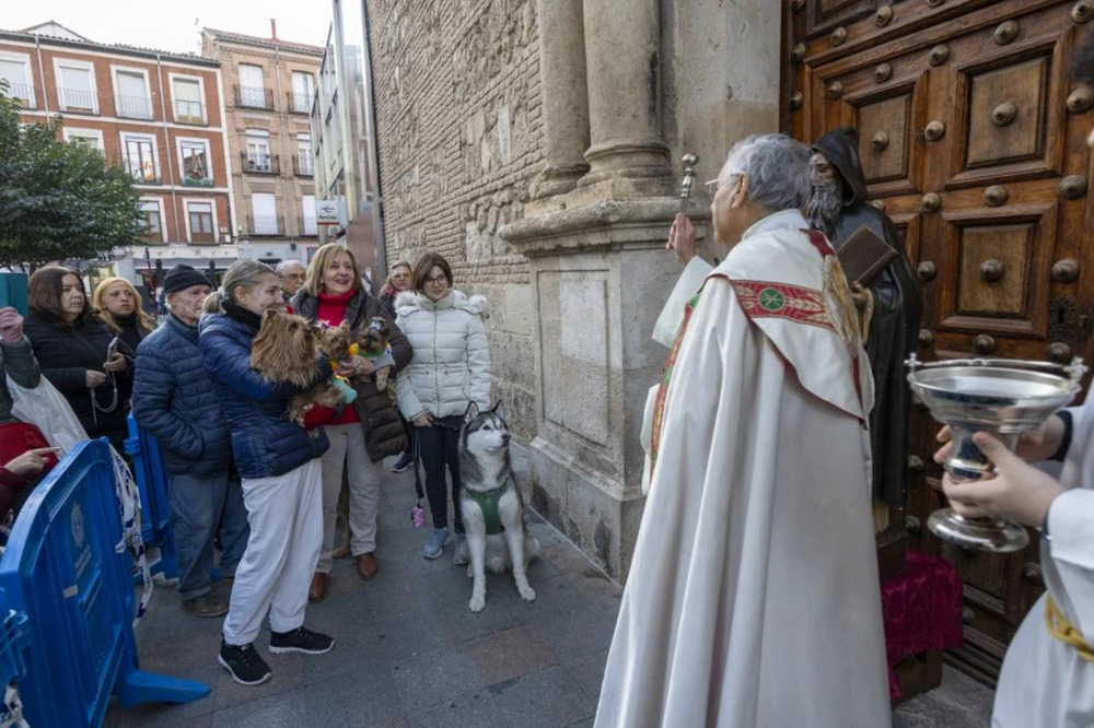 Imágenes de la bendición de animales y la salida de la botarga de Guadalajara.