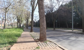 Cabanillas adjudica obras de reforma de la calle Lope de Vega