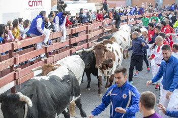 Se presenta el proyecto de cara a mejorar la Feria Taurina