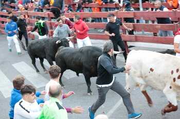 Segundo encierro de Ferias: Limpio y sin incidentes