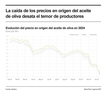 Los precios del aceite de oliva en origen caen casi un 50%