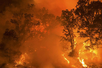 UAH trabaja en un estudio novedoso sobre aparición del fuego