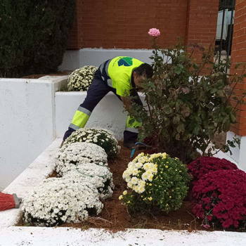 Cabanillas realiza mejoras en el cementerio municipal