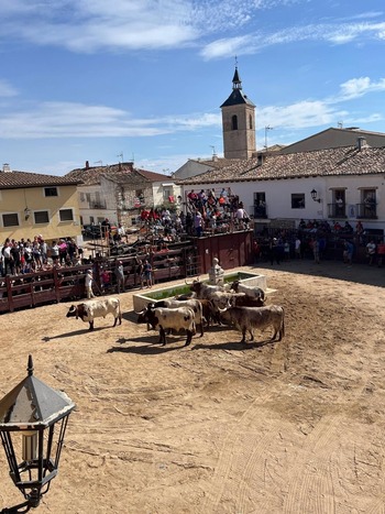 Fuentelencina, un pequeño pueblo con cuatro plazas de toros