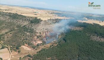 Extinguido el incendio declarado este viernes en Argecilla