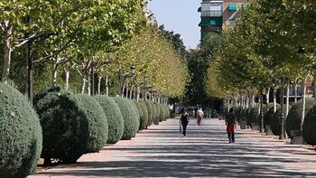 Detenido un hombre en relación a la reyerta de Ciudad Real