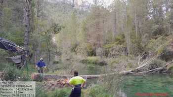 La CHT limpia el cauce del río Tajo en Poveda de la Sierra