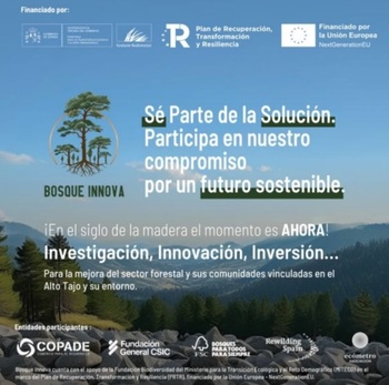 Proyecto Bosque Innova reactivará la economía en el Alto Tajo