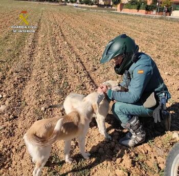 Detenido en Romancos por un supuesto delito de maltrato animal