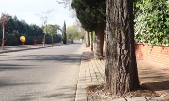 Cabanillas hará una reforma integral de la calle Lope de Vega