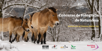 Rewilding Spain convocan Concurso de Fotografía de Naturaleza