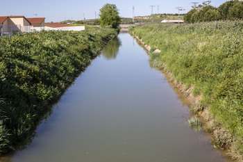 Importante subvención para los regantes del Canal del Henares