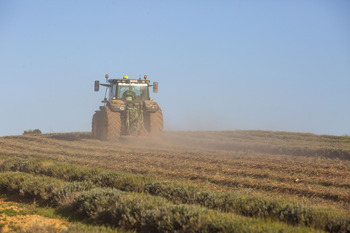 El negocio de la lavanda se planta en la cuerda floja