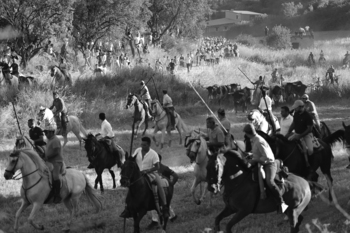 Miradas del alma, ganadora de un concurso fotográfico de toros