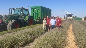 El Gobierno regional se interesa por los campos de lavanda