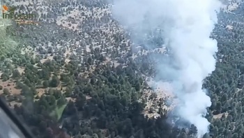 Un incendio amenaza zona de pinar y sabinas en Baños de Tajo