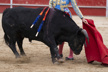 Los abonos de la feria taurina de Azuqueca salen a la venta