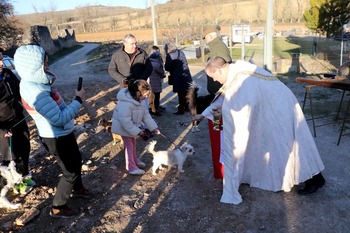 Cogolludo volvía a su ermita para visitar a San Antón