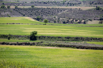 El cultivo de la tierra se concentra cada vez en menos manos