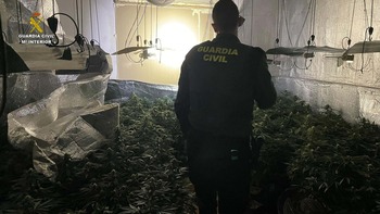 La Guardia Civil desmantela una plantación de marihuana indoor